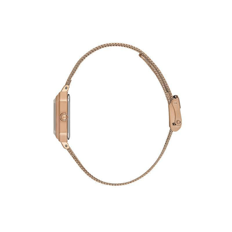 Daniel Klein Womens Stainless Steel Watch-DK113945