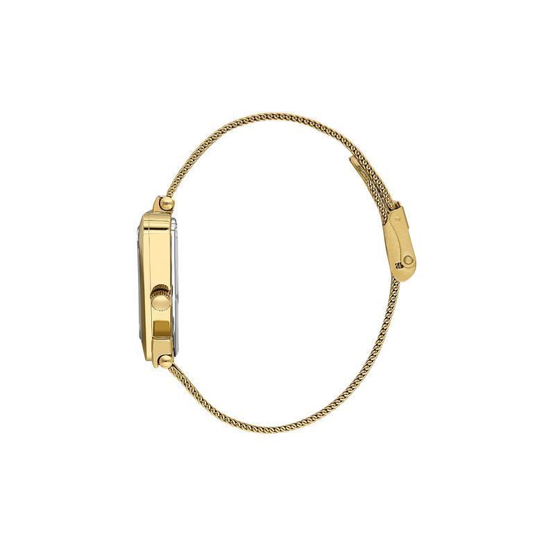 Daniel Klein Stainless steel Womens Watch-DK113963