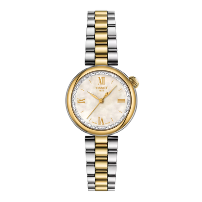 Tissot Desir 28mm Watch - T1520102211801