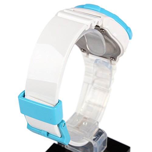 Casio Ladies LRW-200H-2BVDF Analogue Watch