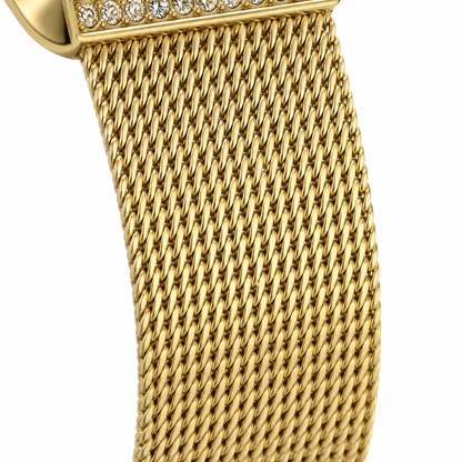 Daniel Klein Stainless steel Womens Watch-DK113963