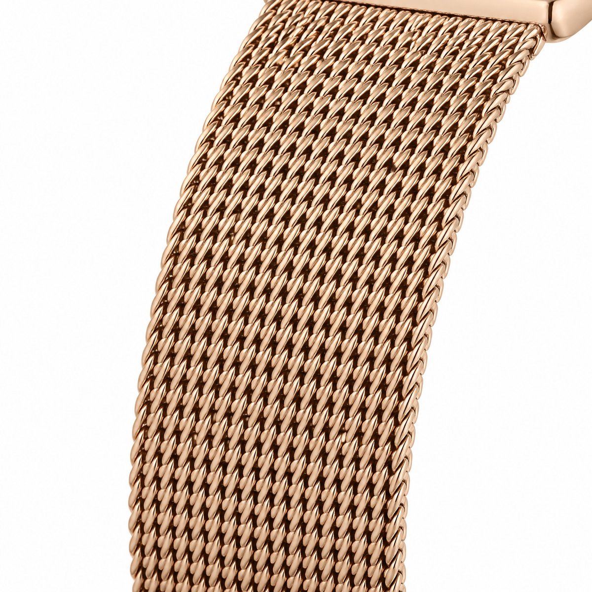 Daniel Klein Stainless steel Womens Watch-DK113963